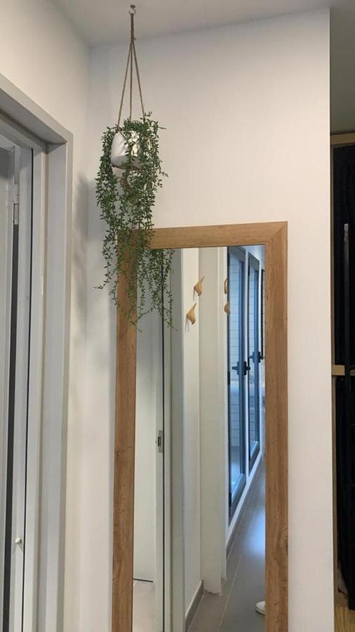 Vtz The Botanic Hostel Сарагоса Екстериор снимка
