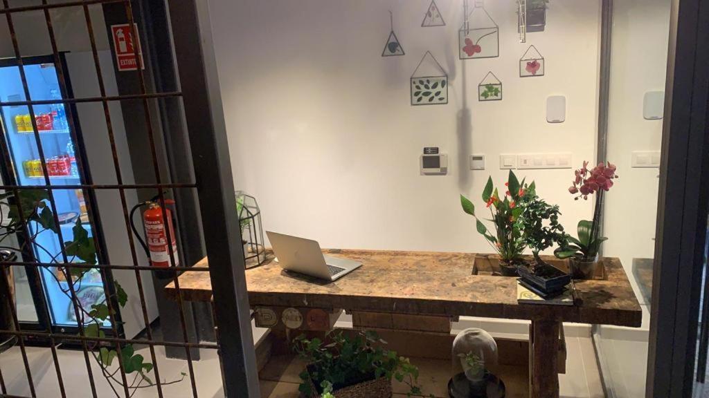 Vtz The Botanic Hostel Сарагоса Екстериор снимка