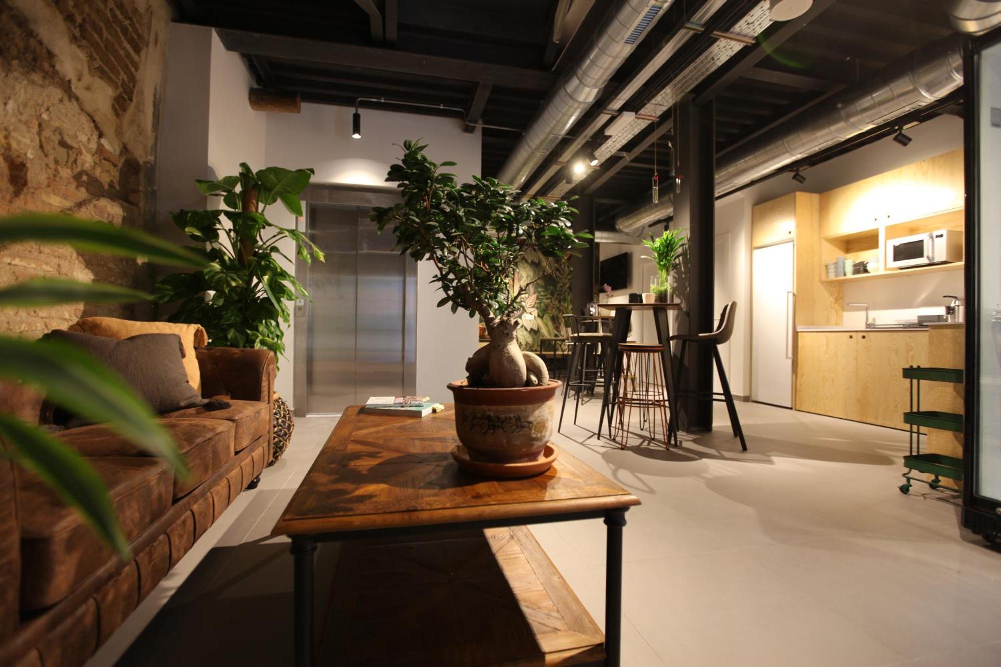 Vtz The Botanic Hostel Сарагоса Екстериор снимка